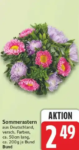 nah & gut Sommerastern Angebot