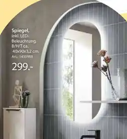 Zurbrüggen Spiegel Angebot
