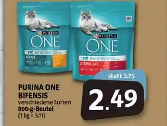 Markant Markt Pruina One Bifensis Angebot