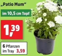 Thomas Philipps Patio Mum Angebot