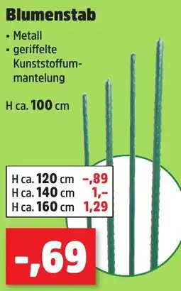 Thomas Philipps Blumenstab Angebot