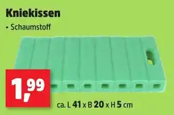 Thomas Philipps Kniekissen Angebot