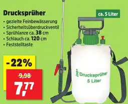 Thomas Philipps Drucksprüher Angebot