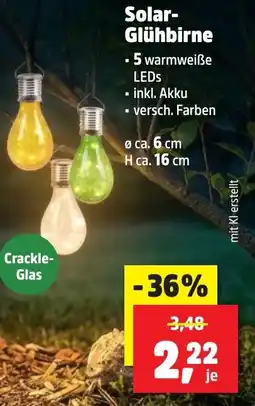 Thomas Philipps Solar-Glühbirne Angebot