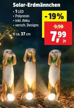 Thomas Philipps Solar-Erdmännchen Angebot