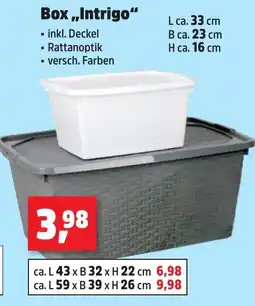 Thomas Philipps Box „Intrigo“ Angebot