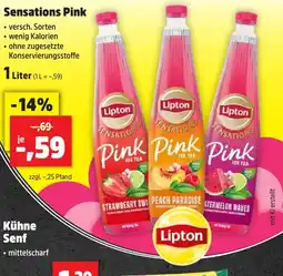 Thomas Philipps Lipton Sensations Pink Ice Tea Angebot