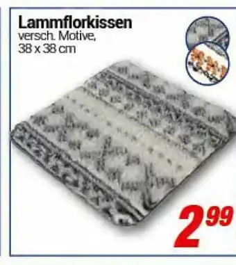 CENTERSHOP Lammflorkissen Angebot