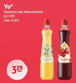 Getränke Hoffmann Yo* Himbeere oder Holunderblüte Angebot