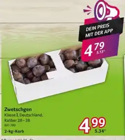 Selgros Zwetschgen Angebot