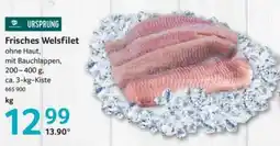 Selgros Frisches Welsfilet Angebot