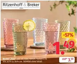 Segmüller Becher „Fave“ 400 ml, Glas, versch. Farben z. B. oliv Angebot