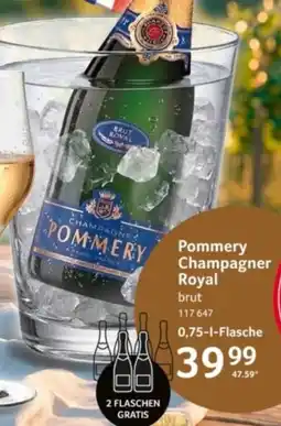 Selgros Pommery Champagner Royal brut Angebot