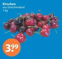 V Markt Kirschen aus Griechenland Angebot