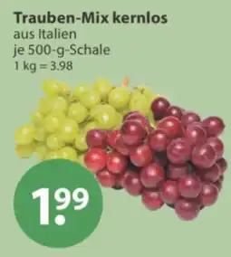V Markt Trauben-Mix kernlos Angebot
