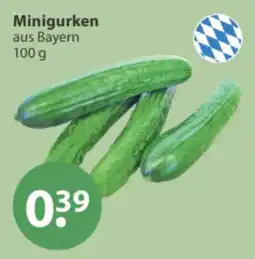 V Markt Minigurken aus Bayern Angebot