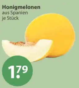 V Markt Honigmelonen aus Spanien Angebot