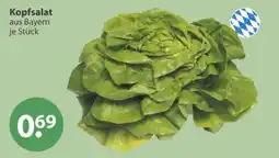 V Markt Kopfsalat aus Bayern Angebot