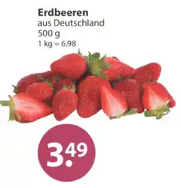 V Markt Erdbeeren Angebot