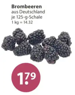 V Markt Brombeeren Angebot