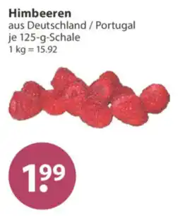 V Markt Himbeeren Angebot