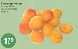 V Markt Zuckeraprikosen Angebot