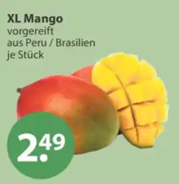 V Markt XL Mango Angebot