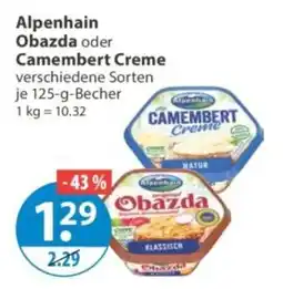V Markt Alpenhain Obazda oder Camembert Creme Angebot