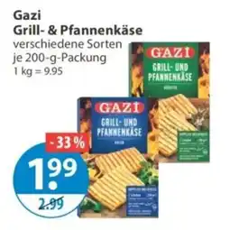 V Markt Gazi Grill- & Pfannenkäse Angebot