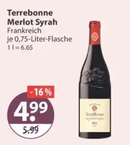V Markt Terrebonne Merlot Syrah Angebot