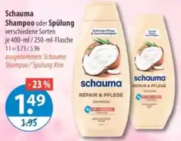 V Markt Schauma Shampoo oder Spülung Angebot