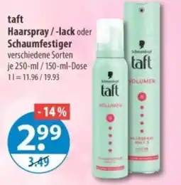 V Markt taft Haarspray/-lack oder Schaumfestiger Angebot