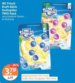 V Markt WC Frisch Kraft Aktiv Duftspüler Angebot