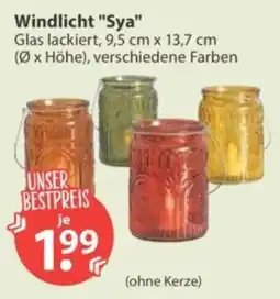 V Markt Windlicht "Sya" Angebot