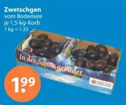 V Markt Zwetschgen vom Bodensee Angebot