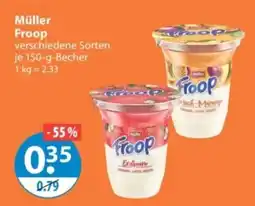 V Markt Müller Froop Angebot