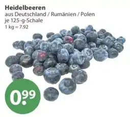 V Markt Heidelbeeren Angebot