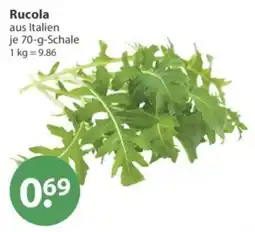 V Markt Rucola Angebot