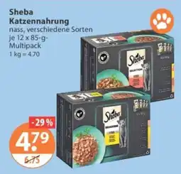 V Markt Sheba Katzenfutter Angebot