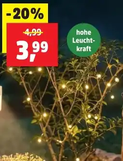 Thomas Philipps Solar-Lichterkette Angebot