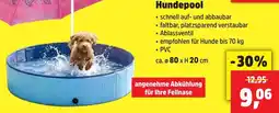 Thomas Philipps Hundepool Angebot
