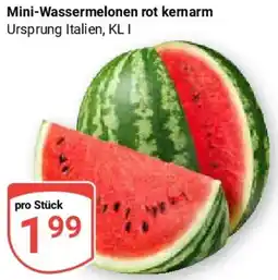 Globus Mini-Wassermelonen rot kernarm Angebot