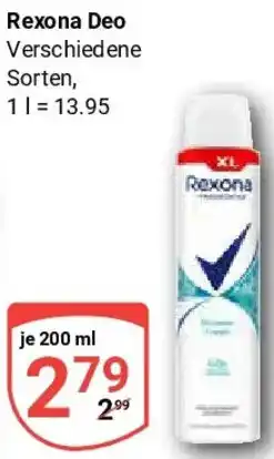 Globus Rexona Deo Angebot