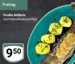 Globus Forelle Müllerin Angebot