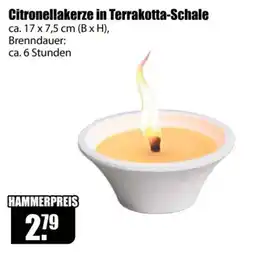 V Baumarkt Citronellakerze in Terrakotta-Schale Angebot