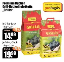 V Baumarkt Premium Buchen Grill-Holzkohlebriketts „Grillis“ Angebot