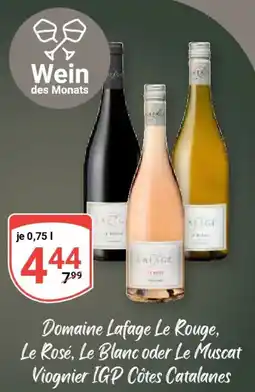 Globus Domaine Lafage Le Rouge, Le Rosé, Le Blanc oder Le Muscat Viognier IGP Côtes Catalanes Angebot