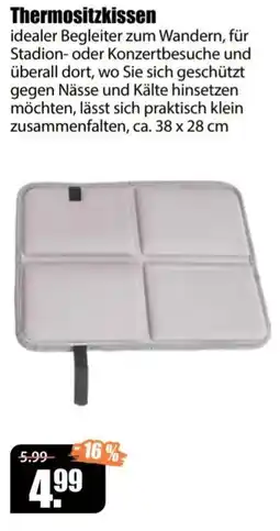 V Baumarkt Thermositzkissen Angebot
