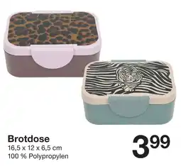 Zeeman Brotdose Angebot
