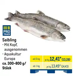 METRO Saibling PRO TRACE Angebot